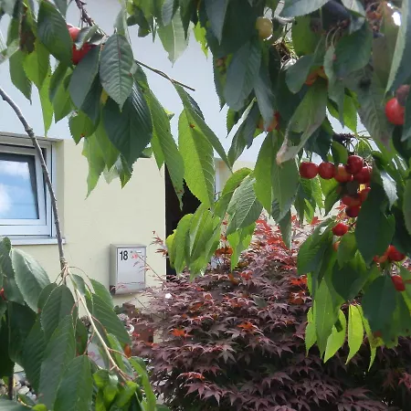 Bed & Breakfast Engen Engen