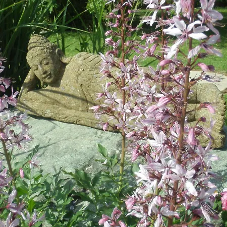 Couette-café Bed & Breakfast Engen 3*