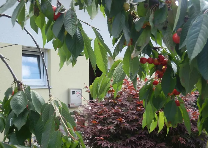 Bed & Breakfast Engen 엥겐