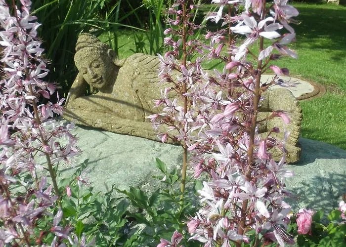 B&B Bed & Breakfast Engen 3*